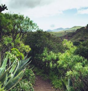 Alquiler de coches en Gran Canaria