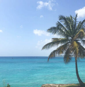 Buscar un coche de alquiler en Barbados