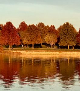 Alquiler de coches en Missouri