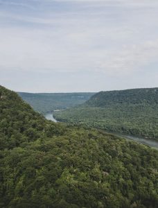 Alquiler de coches en Tennessee