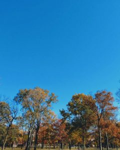 Alquiler de coches en Indiana