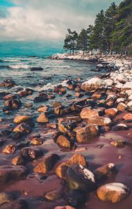 Alquiler de coches en Michigan