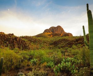 Alquiler de coches en Tucson