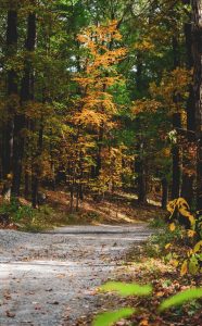 Alquiler de coches en Massachusetts