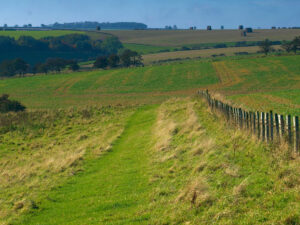 Las mejores carreteras escénicas de Yorkshire